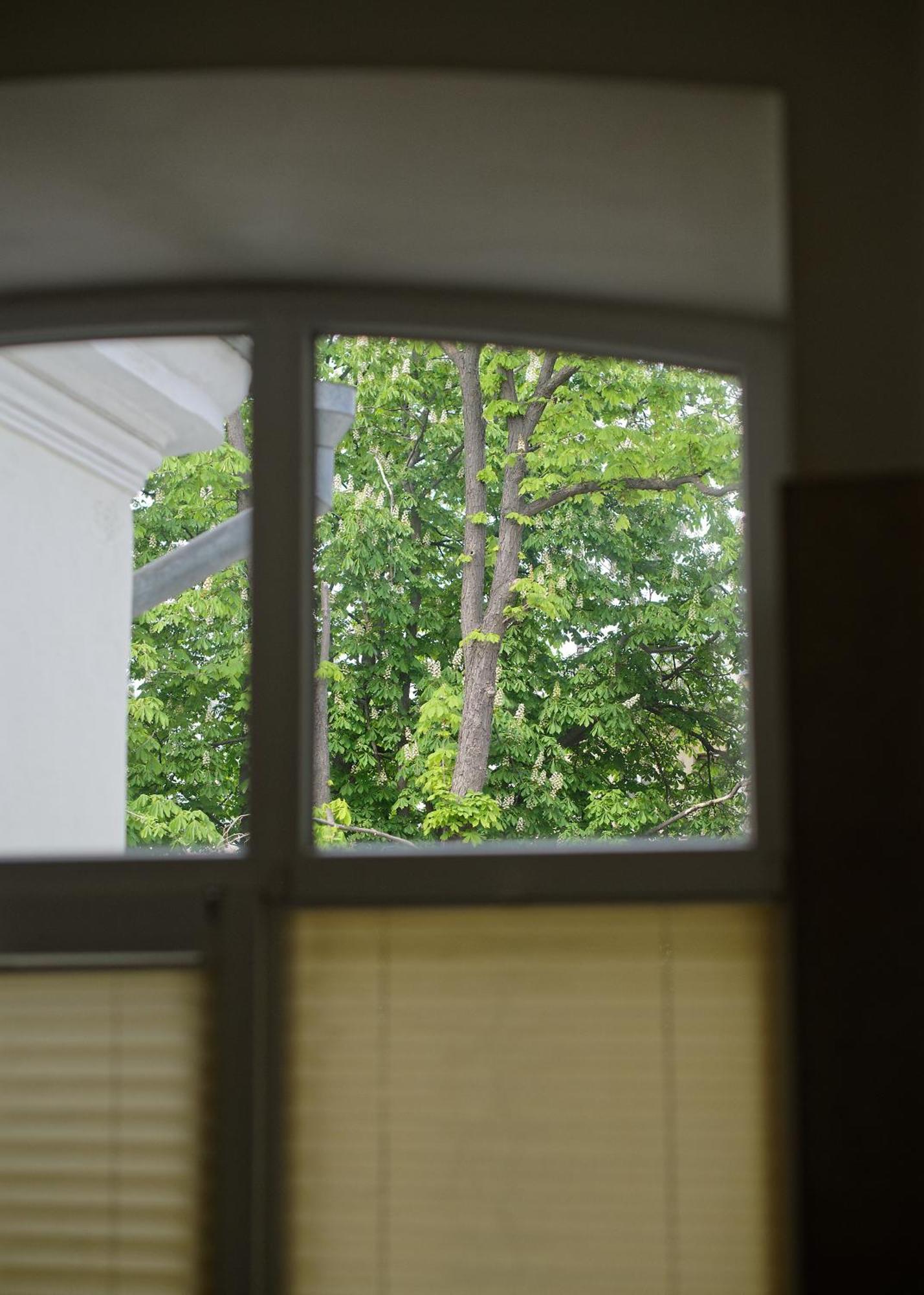 White Door Apartments Heart Of Odessa 1 外观 照片